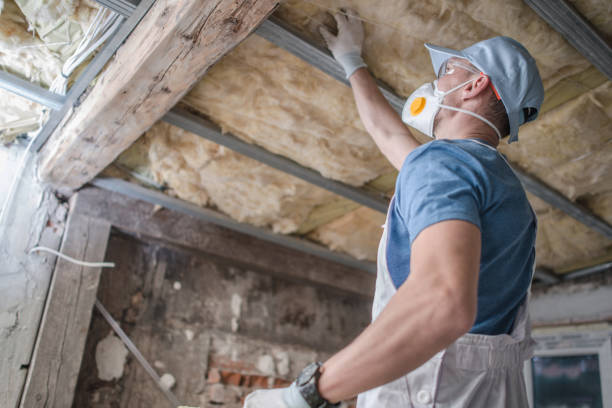 Best Geographic-Specific Insulation Services in Camp Point, IL