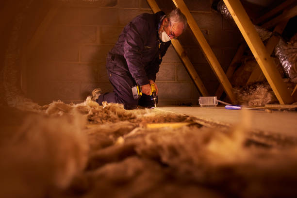 Best DIY Insulation Kits and Guidance in Camp Point, IL